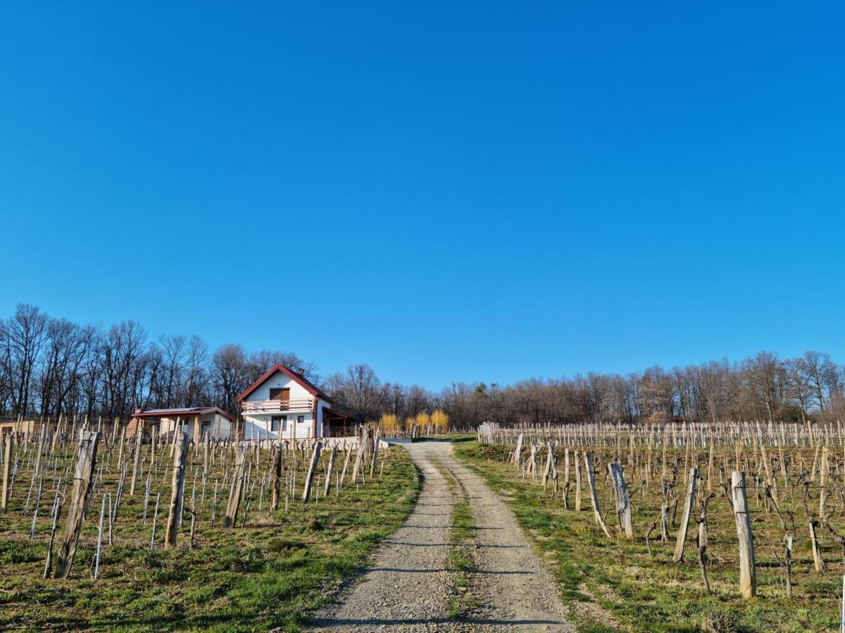 Kuca Za Odmor Baron Villa Kutjevo Exterior foto