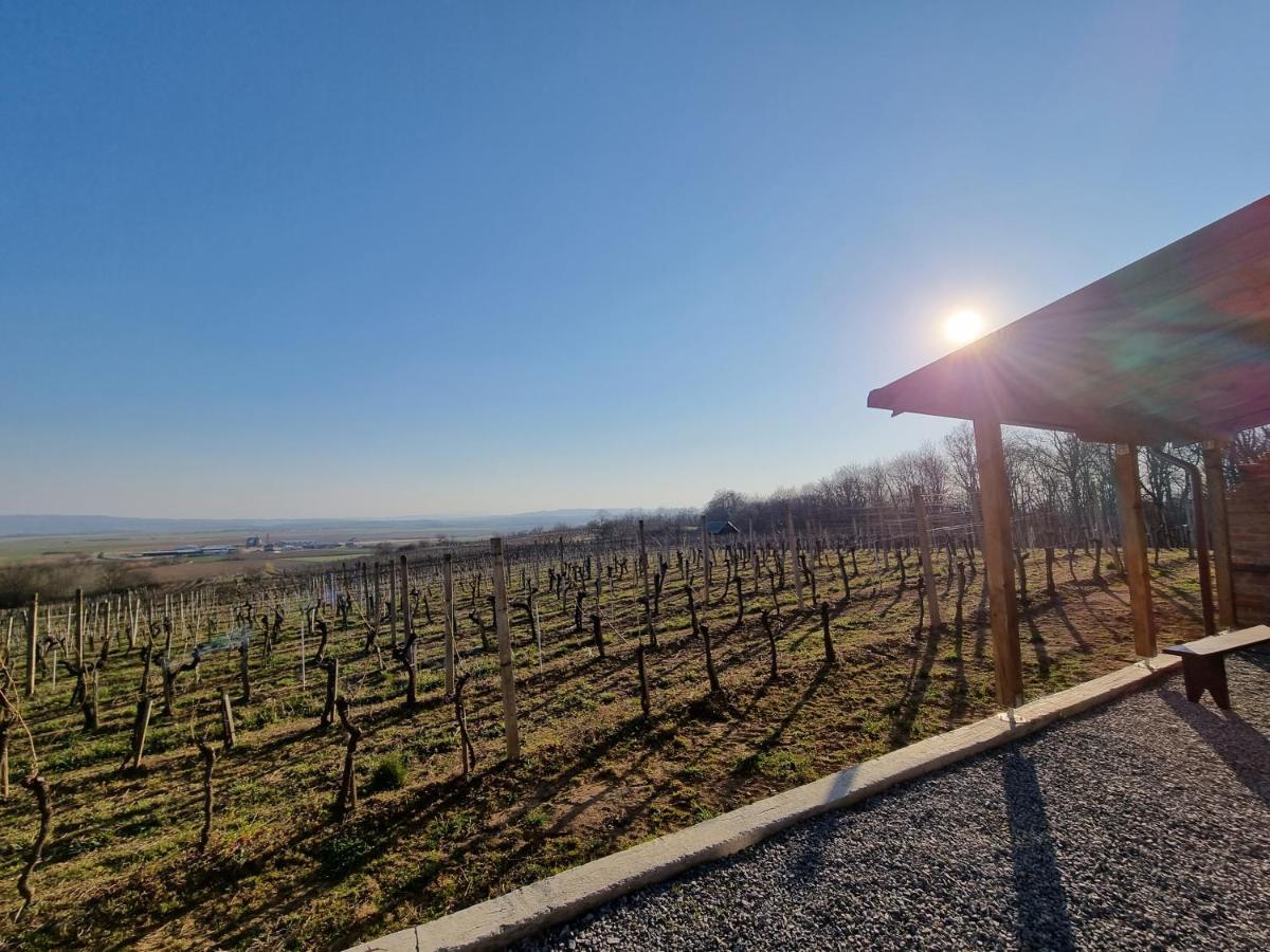 Kuca Za Odmor Baron Villa Kutjevo Exterior foto