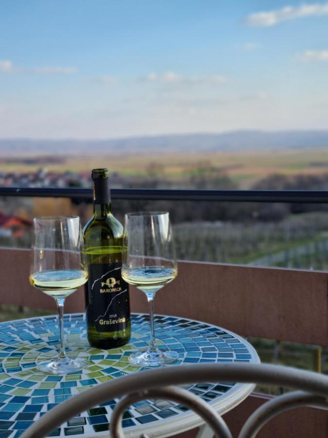 Kuca Za Odmor Baron Villa Kutjevo Exterior foto