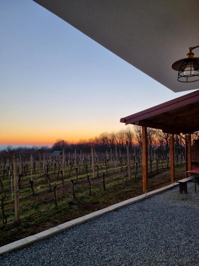 Kuca Za Odmor Baron Villa Kutjevo Exterior foto