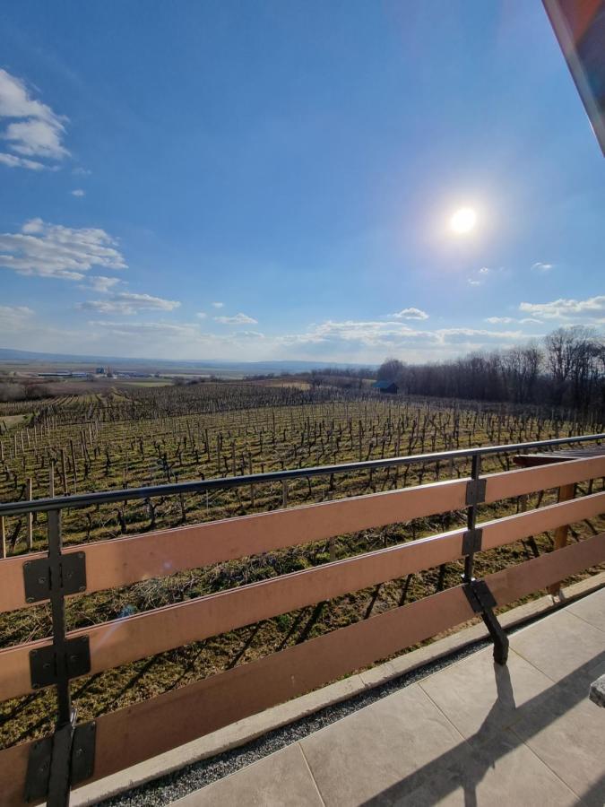 Kuca Za Odmor Baron Villa Kutjevo Exterior foto