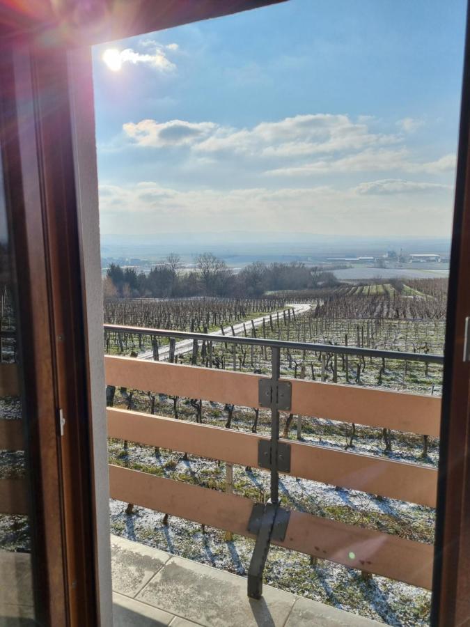 Kuca Za Odmor Baron Villa Kutjevo Exterior foto
