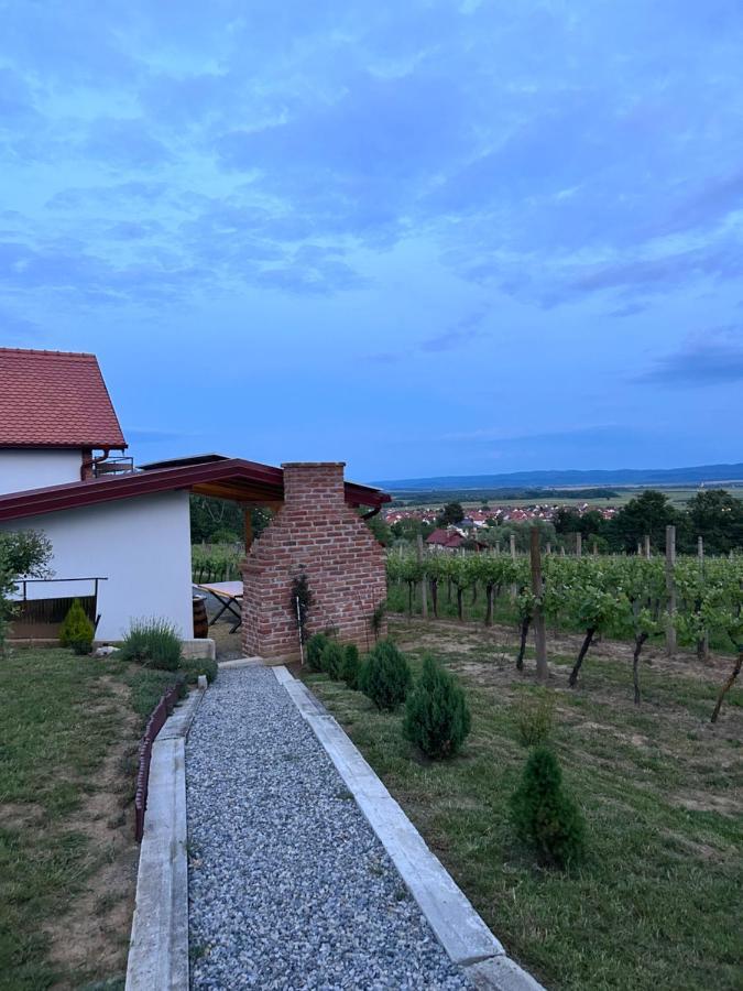Kuca Za Odmor Baron Villa Kutjevo Exterior foto